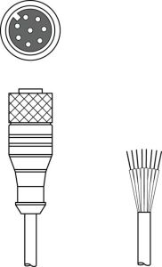 Leuze KD S-M12-8A-P1-250, 50135131