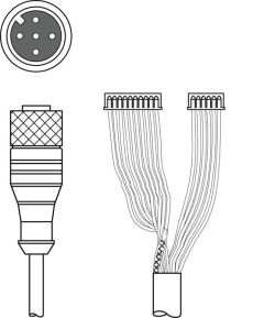 Leuze K-DS M12A-MA-5P-3m-S-PUR, 50115049