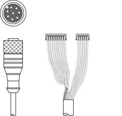 Leuze KB JST-M12A-8P-3000, 50111225