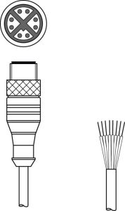 Leuze 50133389; KS GB-M12-8A-P7-100; Connection cable