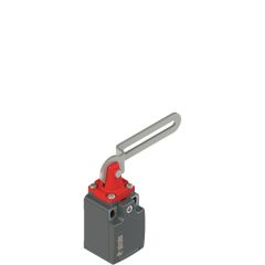 Pizzato FK 34C1-M1 Safety switch with slotted hole lever