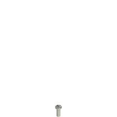  VF VAM4X10BW-X Stainless steel security screws